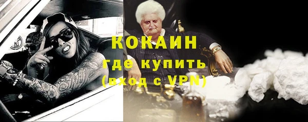 винт Абаза
