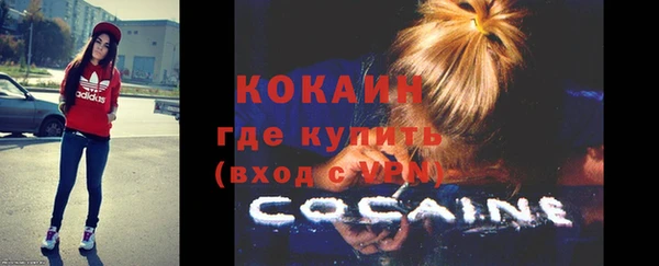 винт Абаза