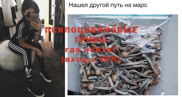 бошки Алексин