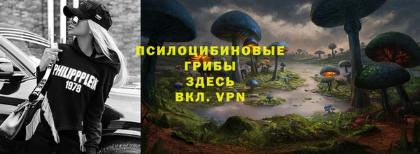 хмурый Карпинск