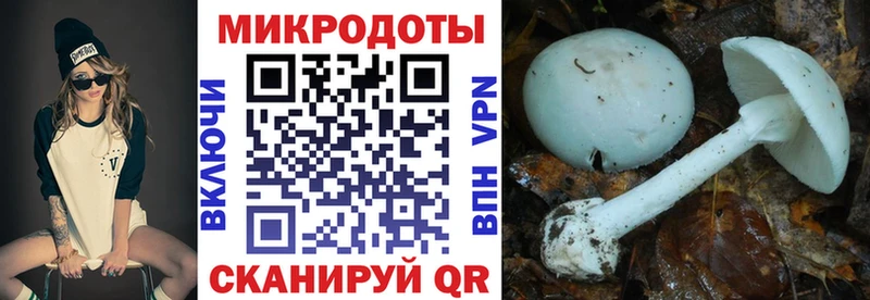Галлюциногенные грибы мицелий  дарнет шоп  Ясный 